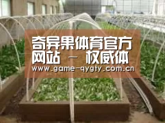 环境展示五