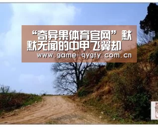 “奇异果体育官网”默默无闻的中甲飞翼却被鲁能新赛季相中 加盟至今仍未登场亮相(图2) 奇异果体育官网