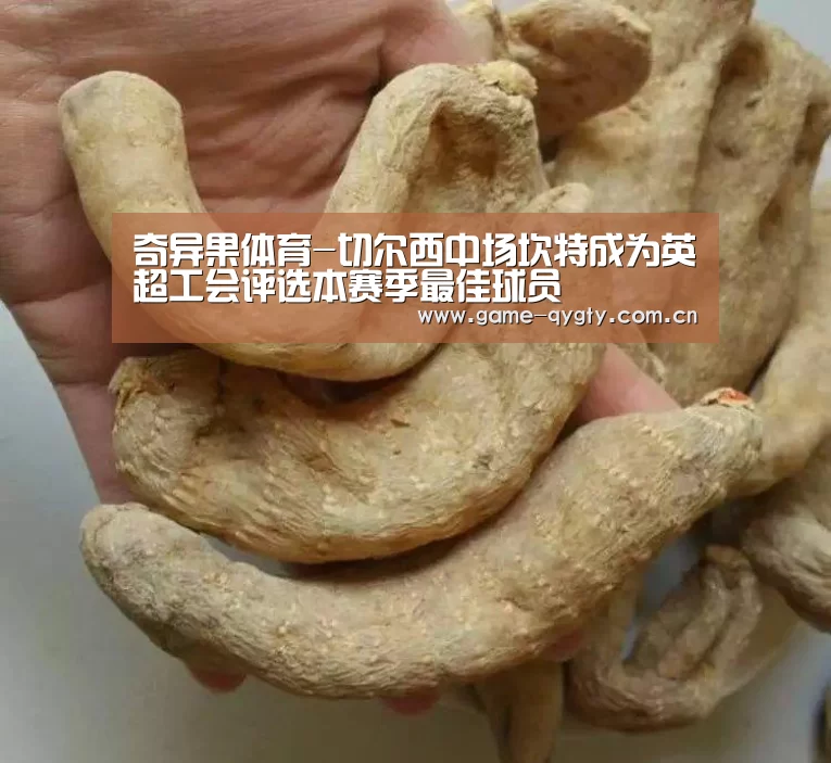 奇异果体育-切尔西中场坎特成为英超工会评选本赛季最佳球员(图1) 奇异果体育官网